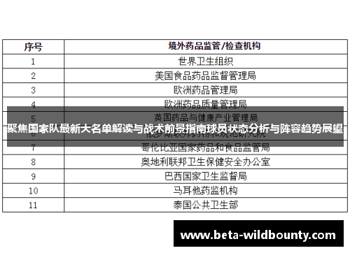 聚焦国家队最新大名单解读与战术前景指南球员状态分析与阵容趋势展望